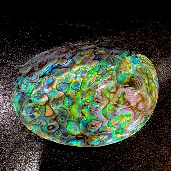 Abalone shell Buckle - Picture 2 of 8